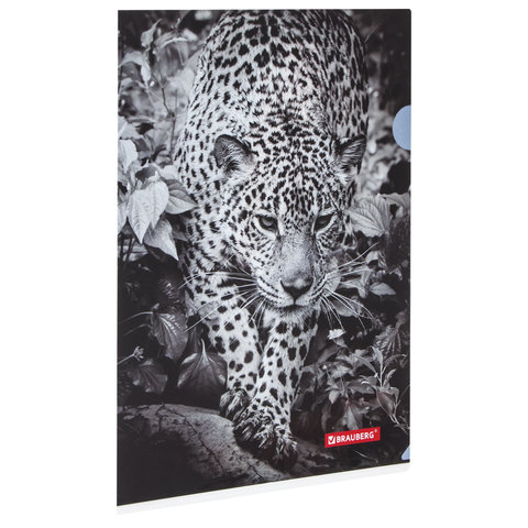 Папка-уголок BRAUBERG "LEOPARD", А4, 150 мкм, цветная печать, 228040